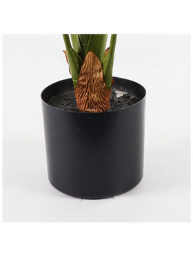 Διακοσμητικό Φυτό σε Γλάστρα Alocasia Inart Πράσινο Φ90x120εκ