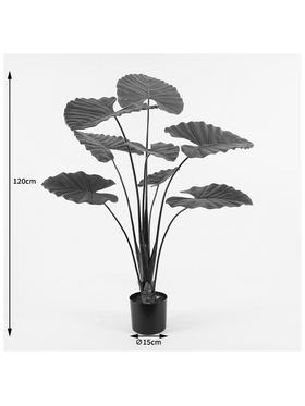 Διακοσμητικό Φυτό σε Γλάστρα Alocasia Inart Πράσινο Φ90x120εκ