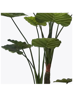 Διακοσμητικό Φυτό σε Γλάστρα Taro Plant Inart Πράσινο Φ90x180εκ