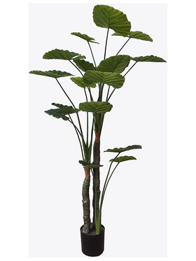 Διακοσμητικό Φυτό σε Γλάστρα Taro Plant Inart Πράσινο Φ90x180εκ