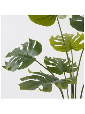 Διακοσμητικό Φυτό σε Γλάστρα Deliciosa Inart Πράσινο Φ94x120εκ