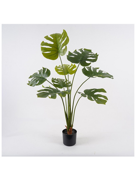 Διακοσμητικό Φυτό σε Γλάστρα Deliciosa Inart Πράσινο Φ94x120εκ