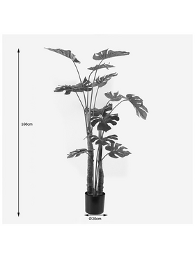 Διακοσμητικό Φυτό σε Γλάστρα Deliciosa i Inart Πράσινο Φ90x160εκ