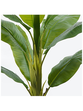 Διακοσμητικό Φυτό σε Γλάστρα Banono Inart Πράσινο Φ95x160εκ