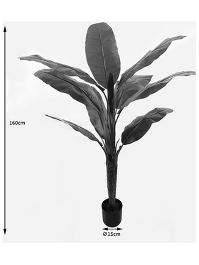 Διακοσμητικό Φυτό σε Γλάστρα Banono Inart Πράσινο Φ95x160εκ