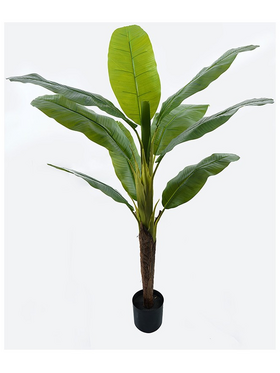 Διακοσμητικό Φυτό σε Γλάστρα Banono Inart Πράσινο Φ95x160εκ