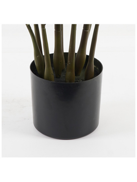 Διακοσμητικό Φυτό σε Γλάστρα Zamia Inart Πράσινο Φ52x88εκ