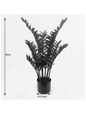 Διακοσμητικό Φυτό σε Γλάστρα Zamia Inart Πράσινο Φ52x88εκ