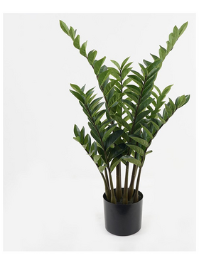 Διακοσμητικό Φυτό σε Γλάστρα Zamia Inart Πράσινο Φ52x88εκ