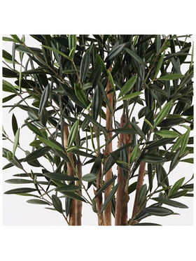 Διακοσμητικό Φυτό σε Γλάστρα Olia Inart Πράσινο Φ52x120εκ