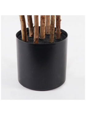 Διακοσμητικό Φυτό σε Γλάστρα Olia Inart Πράσινο Φ52x120εκ