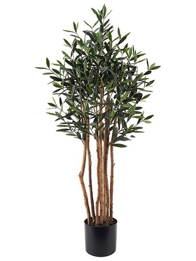 Διακοσμητικό Φυτό σε Γλάστρα Olia Inart Πράσινο Φ52x120εκ