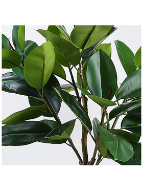 Διακοσμητικό Φυτό σε Γλάστρα Ficus Lyrata Inart Πράσινο Φ70x130εκ
