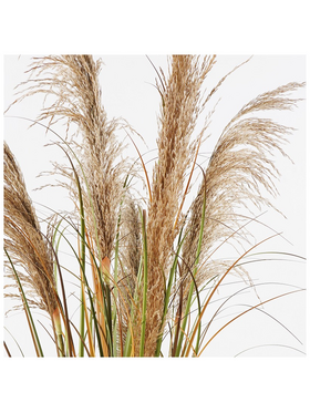 Διακοσμητικό Φυτό σε Γλάστρα Bulrush Inart  Φ65x120εκ