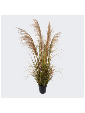 Διακοσμητικό Φυτό σε Γλάστρα Bulrush Inart  Φ65x120εκ