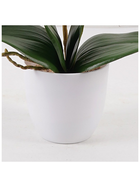 Διακοσμητικό Φυτό σε Γλάστρα Οrchid Beauty Inart 30x13x46εκ