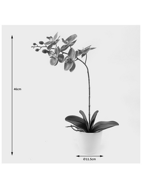 Διακοσμητικό Φυτό σε Γλάστρα Οrchid Beauty Inart 30x13x46εκ