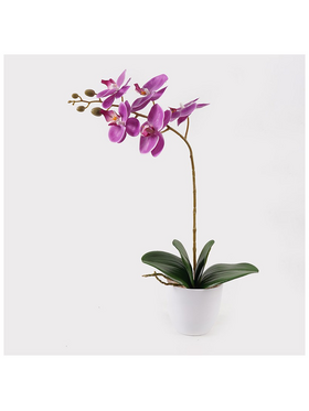 Διακοσμητικό Φυτό σε Γλάστρα Οrchid Beauty Inart 30x13x46εκ