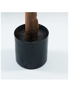 Διακοσμητικό Φυτό σε Γλάστρα Musa Inart Πράσινο Φ105x180εκ