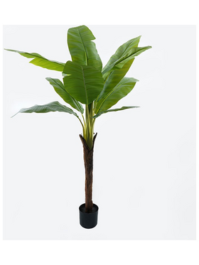 Διακοσμητικό Φυτό σε Γλάστρα Musa Inart Πράσινο Φ105x180εκ