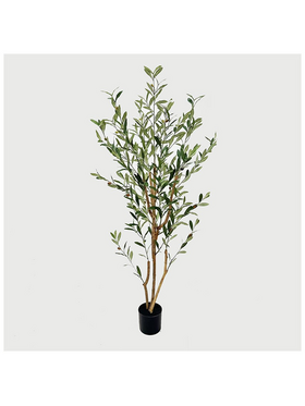 Διακοσμητικό Φυτό σε Γλάστρα Olia Inart Πράσινο 65x55x180εκ
