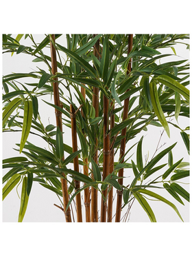 Διακοσμητικό Φυτό σε Γλάστρα Rhapis Palm Inart Πράσινο Φ80x180εκ