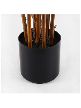 Διακοσμητικό Φυτό σε Γλάστρα Rhapis Palm Inart Πράσινο Φ80x180εκ