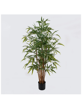 Διακοσμητικό Φυτό σε Γλάστρα Rhapis Palm Inart Πράσινο Φ80x180εκ