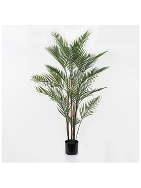 Διακοσμητικό Φυτό σε Γλάστρα Kwai Inart Πράσινο Φ92x150εκ