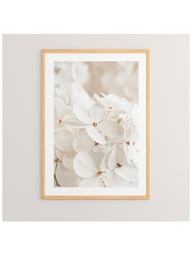 Πίνακας Belo Pakoworld με Ψηφιακή Εκτύπωση και Πλαίσιο 33x1.5x48εκ