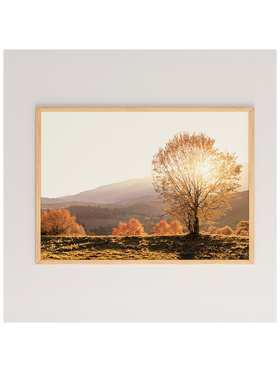 Πίνακας Vila Pakoworld με Ψηφιακή Εκτύπωση και Πλαίσιο 48x1.5x33εκ