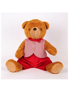 Αρκουδακι με ροζ Καρο Γιλεκο, Καθιστο, 40cm