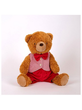 Αρκουδακι με ροζ Καρο Γιλεκο, Καθιστο, 29cm