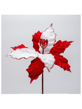 Αλεξανδρινο Candy, 27x20cm