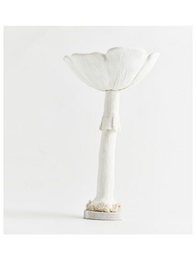 Μανιταρι, Λευκο, με Λευκο Κορμο, 25x25x42cm