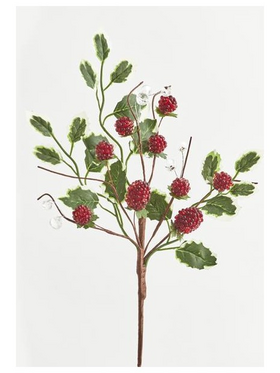 Κλαδι, με Κοκκινα Βατομουρα, 37cm