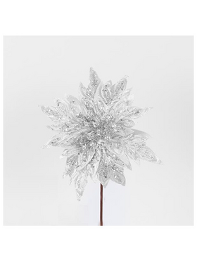 Αλεξανδρινο, Λευκο, 25cm