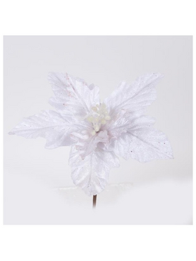 Αλεξανδρινο, Λευκο, με Λευκους Ανθηρες, 22cm