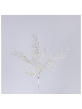 Φτερη Λευκη, 28cm, σετ 2τμχ (Top 120)