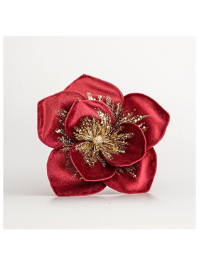 Βελουδινο Λουλουδι, Μπορντω, 20cm