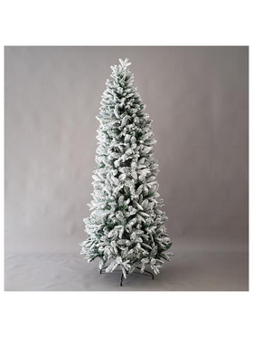 Ελατο Jersey, Χιονισμενο, 180cm