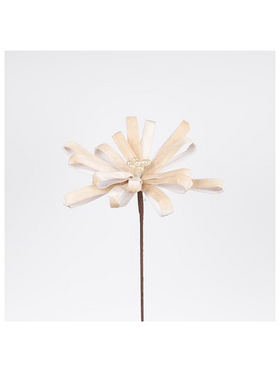 Λουλουδι Φιογκος, Σαμπανι, 25x45cm