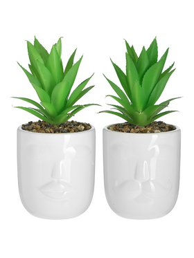 Click Φυτο σε Γλαστρακι Κεραμικο 2 Σχεδια Λευκο/πρασινο Φ9χ10