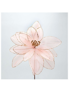 Νταλια, Ροζ, 33x45cm
