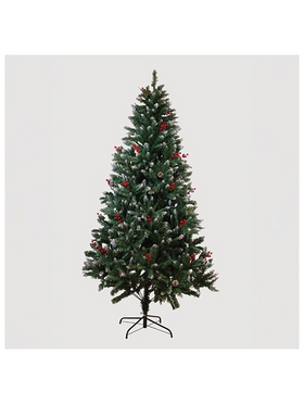 Δεντρο Κεδρος, με Κουκουναρια, 210cm