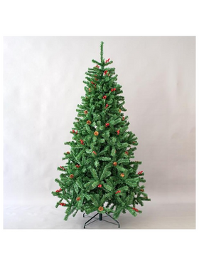 Ελατο Columbia, 240cm