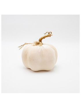 Βελουδινη Κολοκυθα, Υπολευκη, με Λουλουδακια, 12x15cm