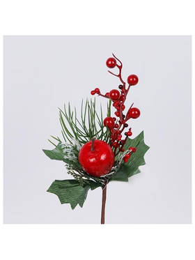 Πικακι με Μηλο και Berry, 26cm