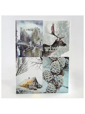 Καδρο με Χιονισμενη Παρασταση, 30x40cm, με 26 led Μπαταριας