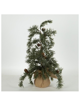 Δεντρακι Ιτια, 54cm